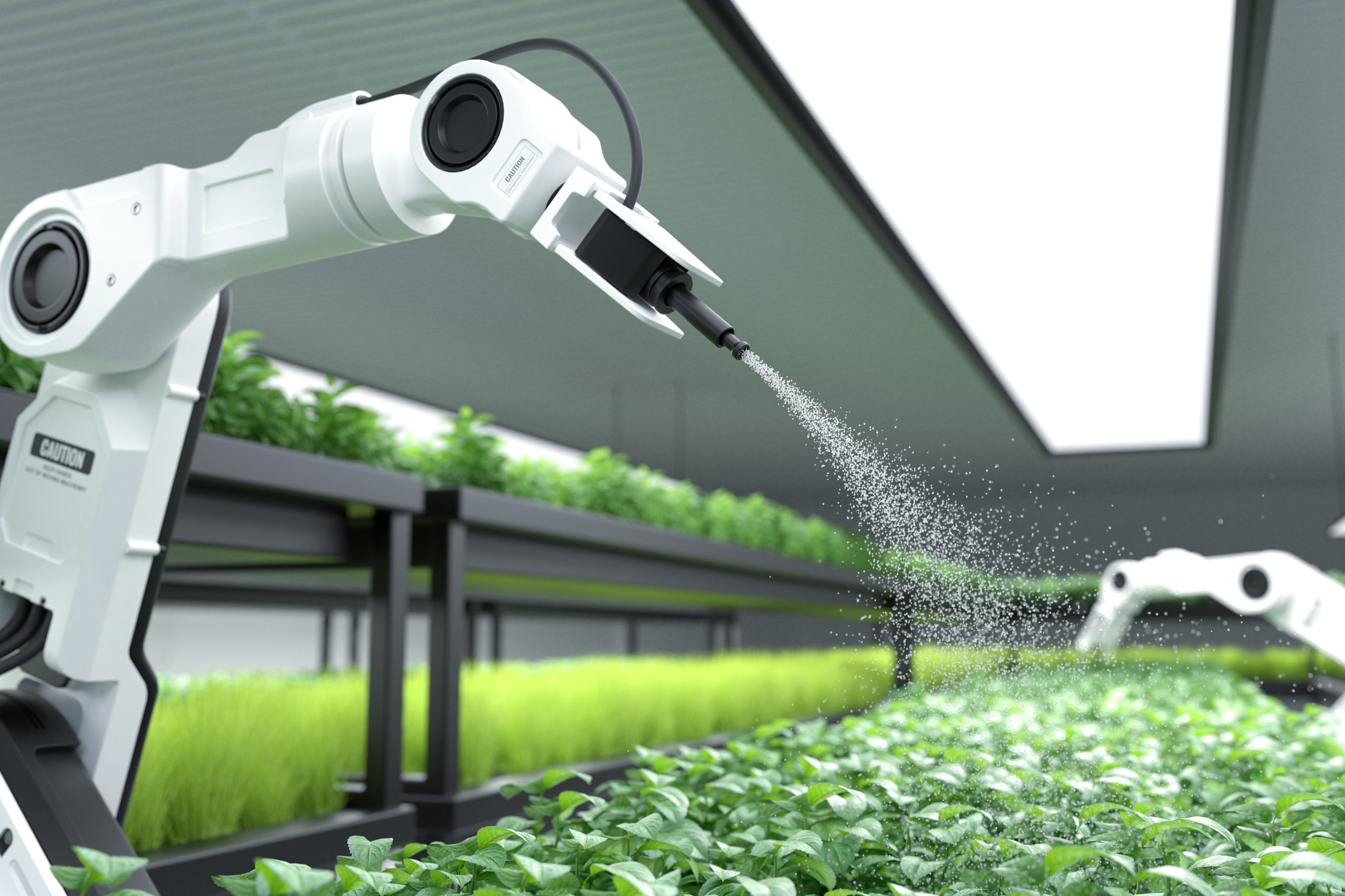 Smart robotic farmer spraying fertilizer on vegetable green plan